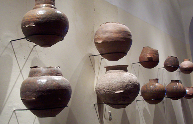 Museo de Ciencias Antropológicas y Naturales Emilio y Duncan Wagner